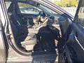 2019 Toyota Camry — photo 5 of 12 | VIN 4T1B11HKXKU187370