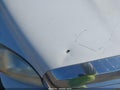 2006 Dodge Ram 3500 — photo 10 of 14 | VIN 3D7ML48C86G127524