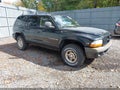 1998 Dodge Durango — photo 1 of 11 | VIN 1B4HS28Y9WF116822
