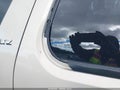 2010 Chevrolet Tahoe — photo 17 of 20 | VIN 1GNUKCE01AR103289