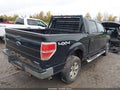 2014 Ford F-150 — photo 4 of 16 | VIN 1FTFW1EF7EFC18923