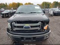 2014 Ford F-150 — photo 6 of 16 | VIN 1FTFW1EF7EFC18923