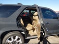 2005 Acura MDX — photo 8 of 16 | VIN 2HNYD188X5H543568