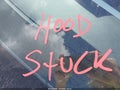 2021 Tesla Model 3 — photo 10 of 16 | VIN 5YJ3E1EB6MF948070