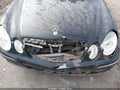 2008 Mercedes-Benz E-Class — photo 6 of 13 | VIN WDBUF56X18B202801