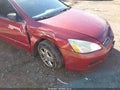 2007 Honda Accord — photo 6 of 16 | VIN 1HGCM56767A069509