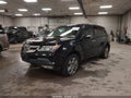 2009 Acura MDX — photo 2 of 11 | VIN 2HNYD284X9H522700