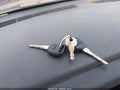 2007 Chevrolet Silverado 1500 — photo 11 of 11 | VIN 1GCEK19Z57Z120096