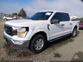 2021 Ford F-150 — photo 2 of 18 | VIN 1FTEW1EP1MKD70805