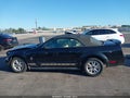 2006 Ford Mustang — photo 14 of 16 | VIN 1ZVFT84N365131180