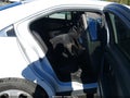 2015 Ford Police Interceptor Utility — photo 8 of 16 | VIN 1FAHP2L86FG149367