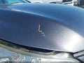 2010 Subaru Outback — photo 13 of 15 | VIN 4S4BRBGC6A1320991