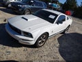 2006 Ford Mustang — photo 2 of 12 | VIN 1ZVFT80N565111776