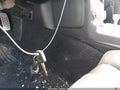 2006 Nissan 350Z — photo 11 of 11 | VIN JN1AZ34D26M330607