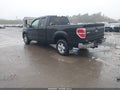 2013 Ford F-150 — photo 3 of 16 | VIN 1FTEX1CM8DFD29649