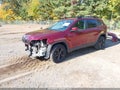 2019 Jeep Cherokee — photo 2 of 19 | VIN 1C4PJMLB4KD294983