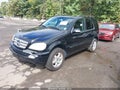 2004 Mercedes-Benz ML-Class — photo 2 of 11 | VIN 4JGAB75E14A502278