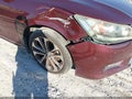 2014 Honda Accord — photo 6 of 18 | VIN 1HGCR2F56EA203088