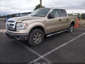 2014 Ford F-150 — photo 2 of 16 | VIN 1FTFW1EFXEFA29666