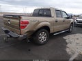 2014 Ford F-150 — photo 4 of 16 | VIN 1FTFW1EFXEFA29666
