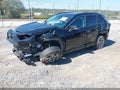2025 Toyota RAV4 — photo 2 of 15 | VIN 2T3P1RFV0SC515258