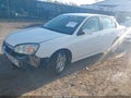 2007 Chevrolet Malibu Limited — photo 2 of 17 | VIN 1G1ZT58N37F238419
