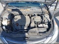 2014 Hyundai Sonata — photo 10 of 11 | VIN 5NPEB4AC6EH916286