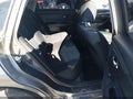 2016 Nissan Altima — photo 8 of 11 | VIN 1N4AL3AP0GN352149