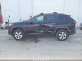 2019 Toyota RAV4 — photo 14 of 16 | VIN JTMP1RFV5KD039133