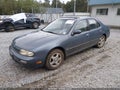 1993 Nissan Altima — photo 2 of 11 | VIN 1N4BU31F2PC134959