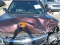2015 Kia Sorento — photo 21 of 22 | VIN 5XYKU4A7XFG568565