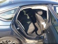 2024 Honda Accord — photo 8 of 19 | VIN 1HGCY1F30RA092703