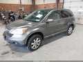 2009 Honda CR-V — photo 2 of 11 | VIN 5J6RE48749L031601
