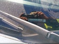 2017 Ford Focus — photo 9 of 16 | VIN 1FADP3F22HL300145