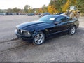 2006 Ford Mustang — photo 2 of 17 | VIN 1ZVFT82H765216231
