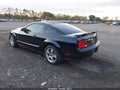 2006 Ford Mustang — photo 3 of 17 | VIN 1ZVFT82H765216231