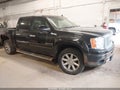 2009 GMC Sierra 1500 — photo 1 of 16 | VIN 3GTEK03269G149776