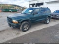 1999 Dodge Durango — photo 2 of 12 | VIN 1B4HS28YXXF507141