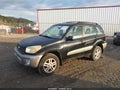 2002 Toyota RAV4 — photo 2 of 12 | VIN JTEHH20V520165317