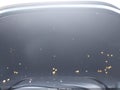 2023 Honda CR-V — photo 7 of 16 | VIN 7FARS6H97PE016669
