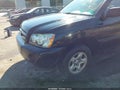 2004 Toyota Highlander — photo 6 of 12 | VIN JTEGD21A140074597
