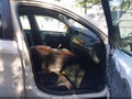 2013 BMW X6 — photo 5 of 18 | VIN 5UXFG2C57DL787928
