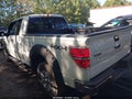 2013 Ford F-150 — photo 3 of 16 | VIN 1FTFX1ET0DKE09477