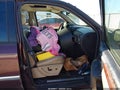 2006 GMC Envoy — photo 5 of 12 | VIN 1GKET16S466122026