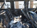 2014 Jeep Wrangler Unlimited — photo 8 of 10 | VIN 1C4BJWEG8EL116986