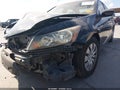 2010 Honda Accord — photo 17 of 18 | VIN 1HGCP2F34AA163897