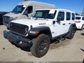 2024 Jeep Wrangler — photo 2 of 16 | VIN 1C4RJXN65RW191452