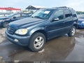 2002 Mercedes-Benz ML-Class — photo 2 of 19 | VIN 4JGAB54E62A369651
