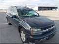 2003 Chevrolet Trailblazer — photo 6 of 11 | VIN 1GNET16S036121969