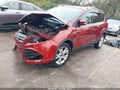 2016 Ford Escape — photo 2 of 19 | VIN 1FMCU0J95GUC56065